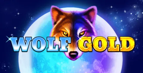 Wolf Gold wolf onder volle maan in de prairie